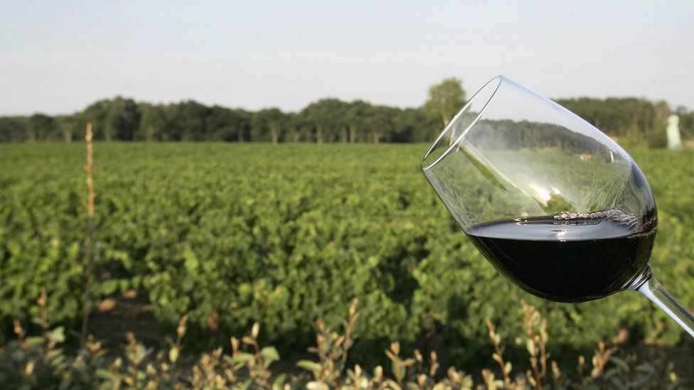 Red wine glass, vineyards behind