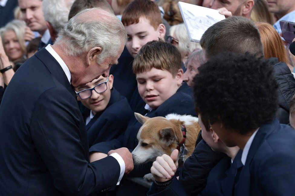 King Charles greets Connie the corgi among the crowds of people outside Hillsborough Castle