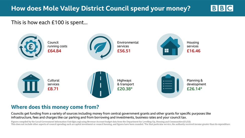 Mole Valley election graphic