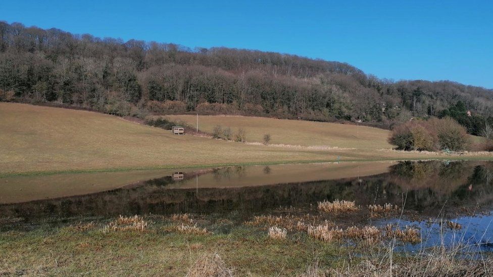 Oak Tree Farm