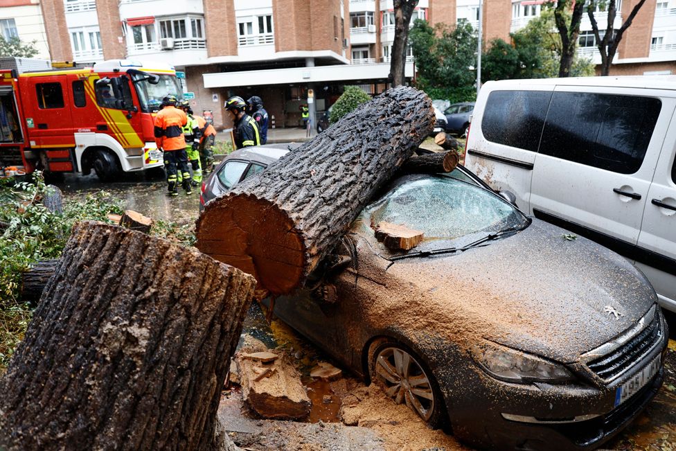 A view of a car crushed by a log due to the strong winds caused by storm 'Ciaran' in Madrid, central Spain, 02 November 2023