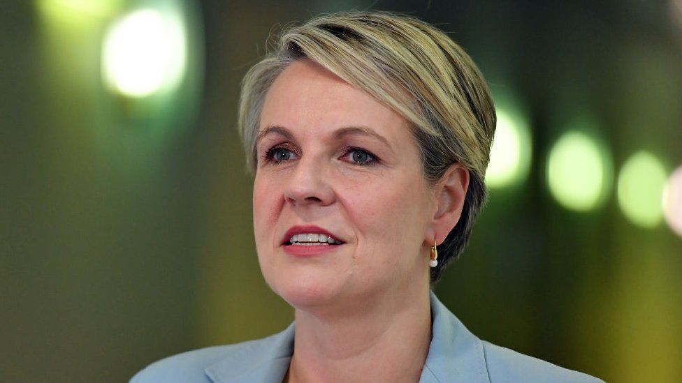 Tanya Plibersek