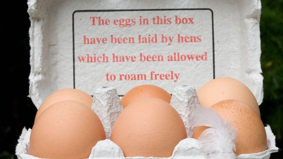 Яйца свободного выгула