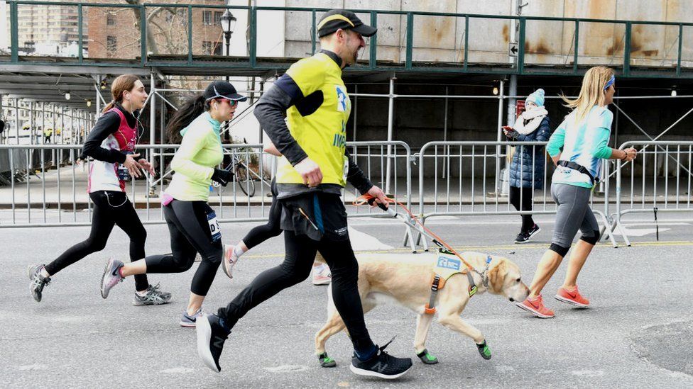 Thomas Panek running the New York City Half Marathon with his guide dog Gus