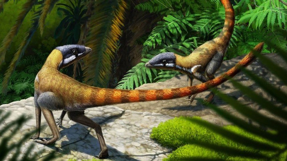 Why aren't pterosaurs classed as dinosaurs? - BBC Science Focus Magazine