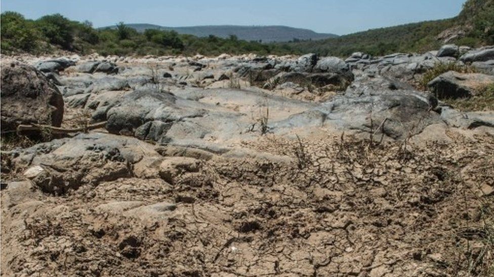 A view taken on 9 November 2015 shows the dried up Mfolozi River in Ulundi, some 159km North of Durban in KwaZulu Natal, as a sever drought affects South Africa