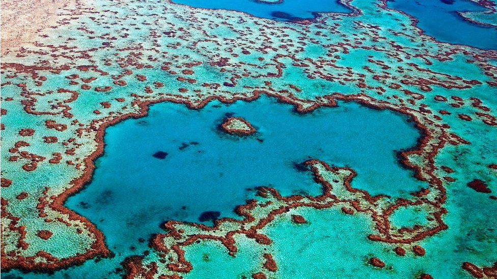 Aerial view of the Heart Reef in the Great Barrier Reef