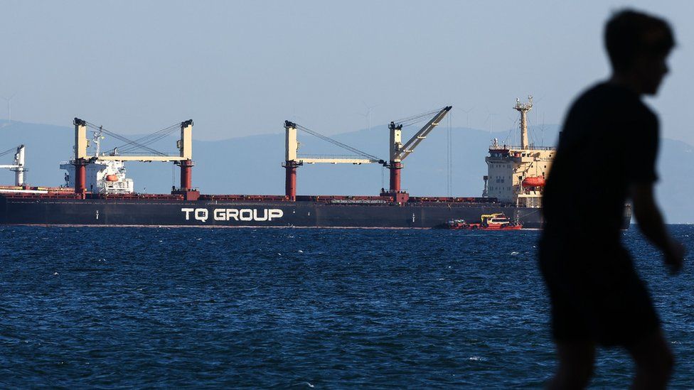 La TQ Samsunhe battente bandiera turca, l'ultima nave per cereali che ha lasciato un porto ucraino da quando la Russia è uscita un giorno prima dall'accordo sul corridoio del grano, è vista nel Mar di Marmara, a Istanbul, Turchia, 18 luglio 2023
