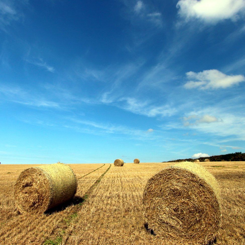 Gathered hay at Quintrell Downs, close to Newquay in Cornwall