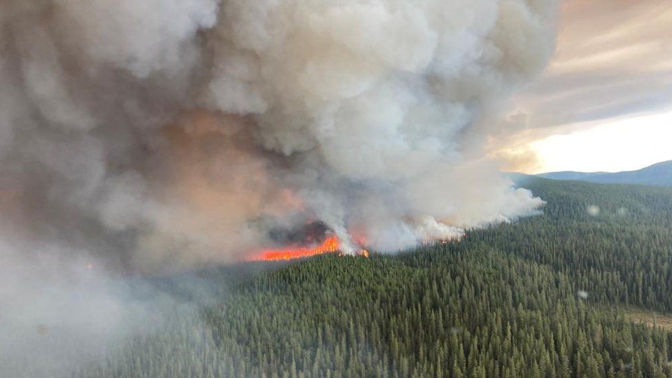 An aerial view of a wildfire burning through a forest in British Columbia, Canada