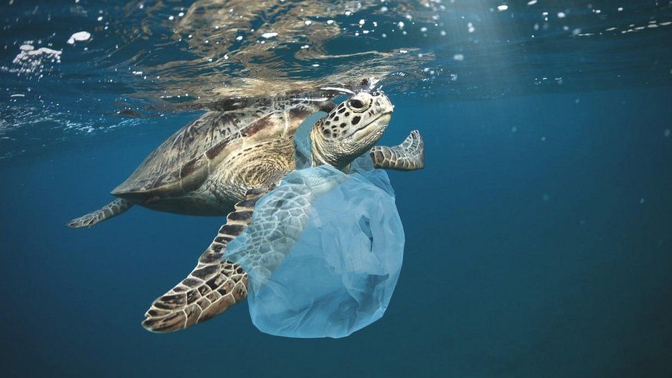 Plastic pollution: Green light for 'historic' treaty