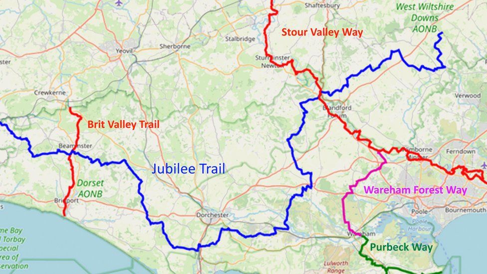 Dorset Plans For Continuous Line Of Hedge Across County BBC News