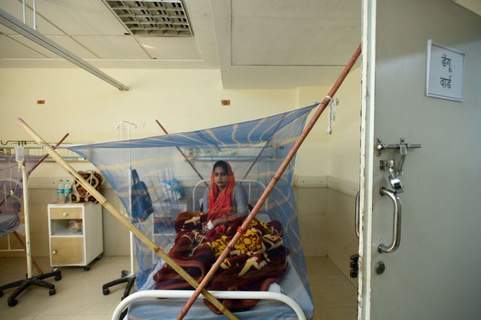 Пациент осмотрен в отделении денге в районной больнице сектора 30 27 октября 2021 года в Нойде, Индия.