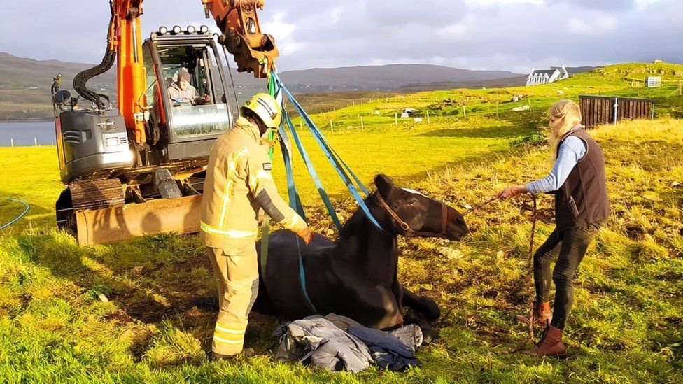 'Miracle' rescue of horse stuck in septic tank on Skye BBC News