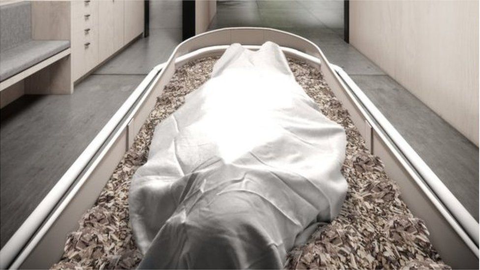A body is seen covered by a sheet on a bed of woodchips