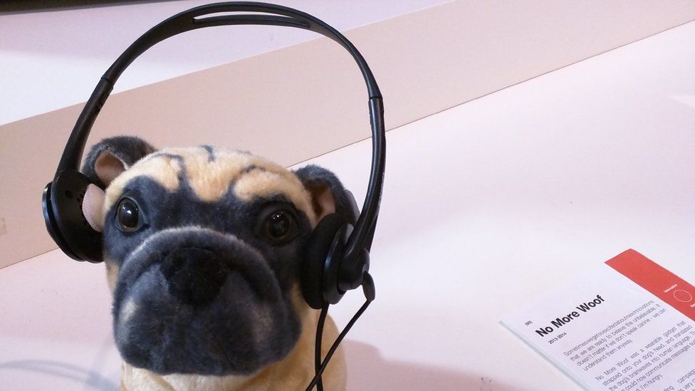 Dog with headphones - part of a display at the Museum of Failure in LA