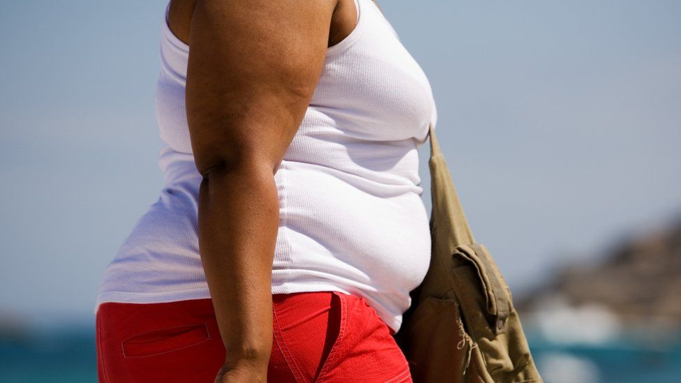 Overweight woman's torso