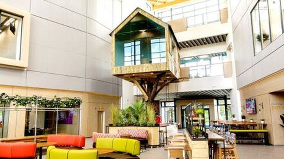 Treehouse at Moneypenny office