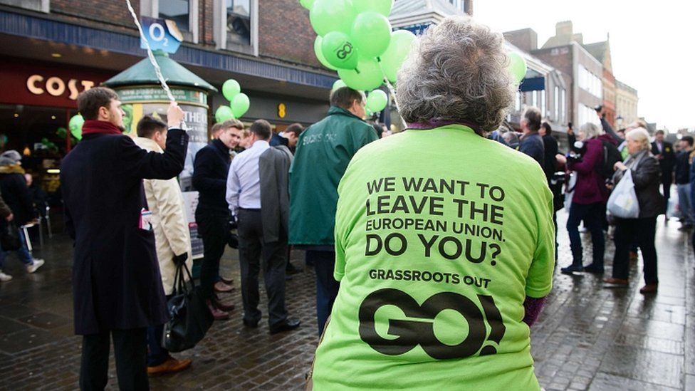 Activists from the Grassroots Out campaign group
