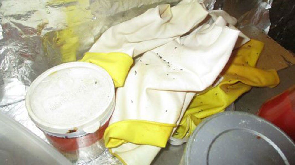 A takeaway in Walthamstow showing mouse droppings on a washing up glove