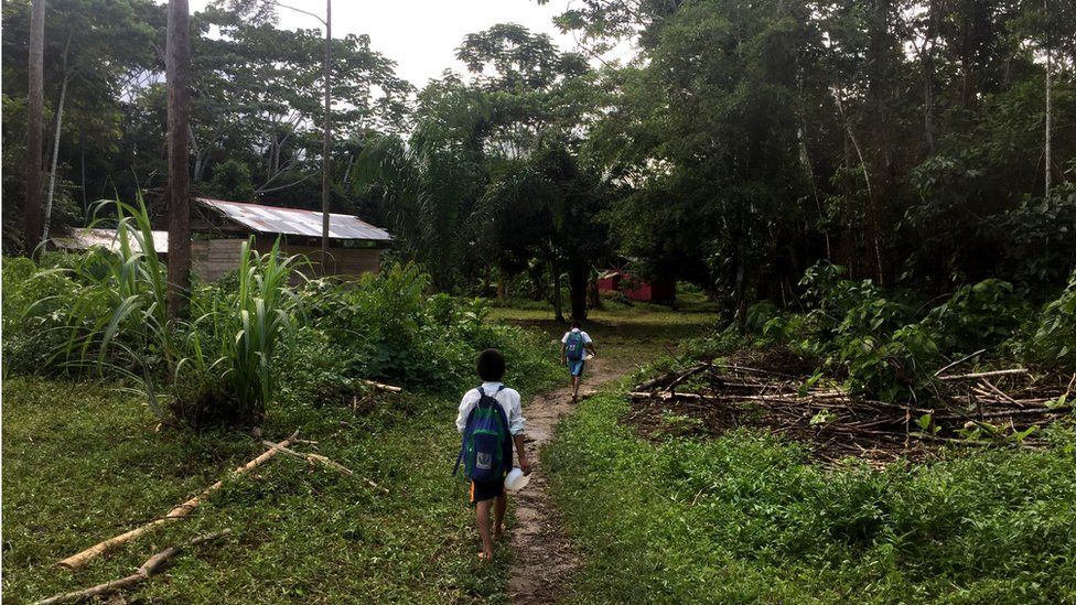 Schoolchildren walk along small path to the small school house in Shipetiari