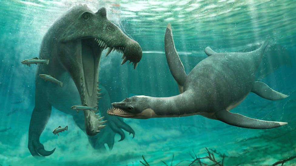 Plesiosaurs and spinosaurus may have both inhabited freshwater rivers