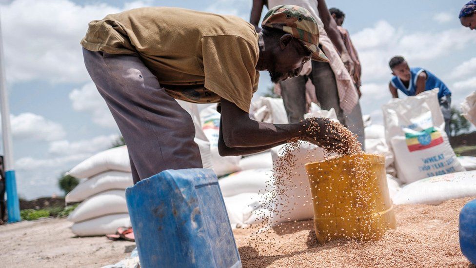 A man puts wheat into a container in Ethiopia's northern Tigray region