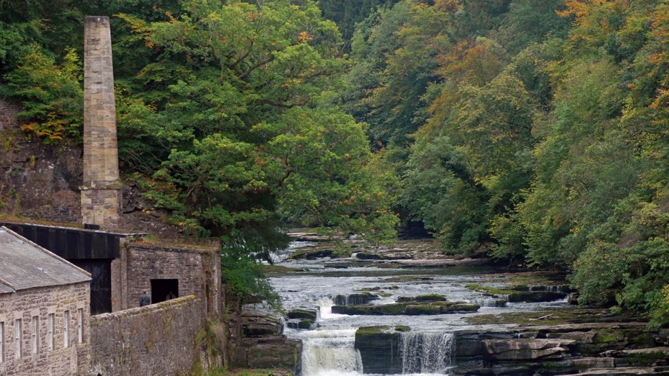 Falls of Clyde