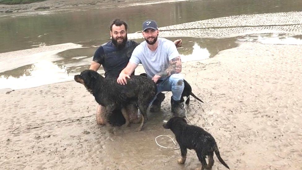Dog rescued from quicksand on banks of River Severn BBC News