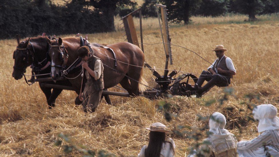 Horses pulling a plough in a field of wheat, with farmers and children dressed in period costume from the 1910s, for the filming of Akenfield in 1972