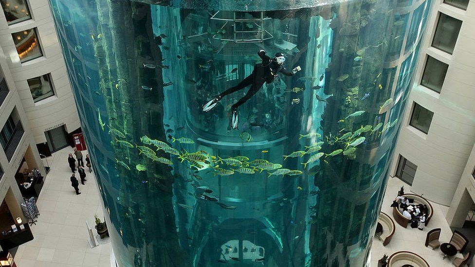 AquaDom: Fish rescued as giant aquarium in Berlin hotel bursts