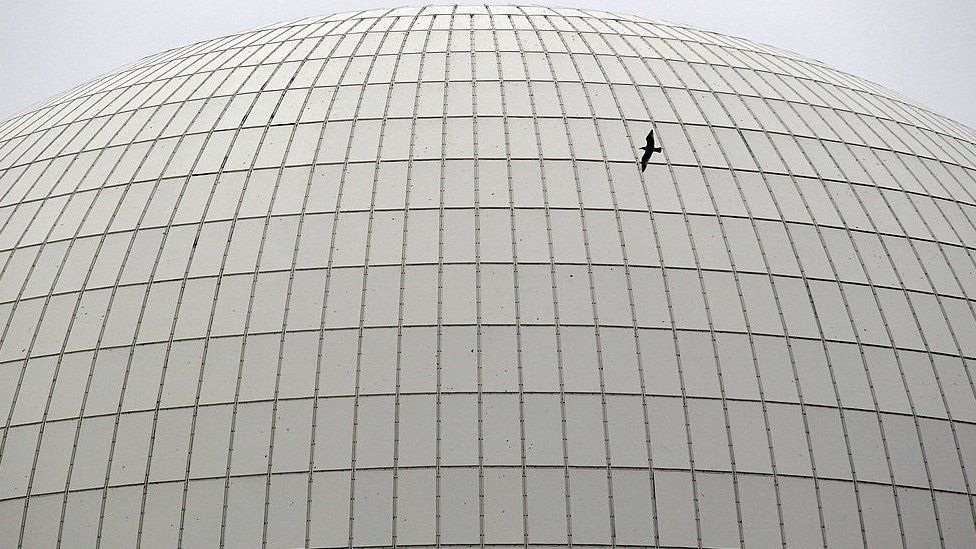 Bird flies past Sizewell nuclear plant
