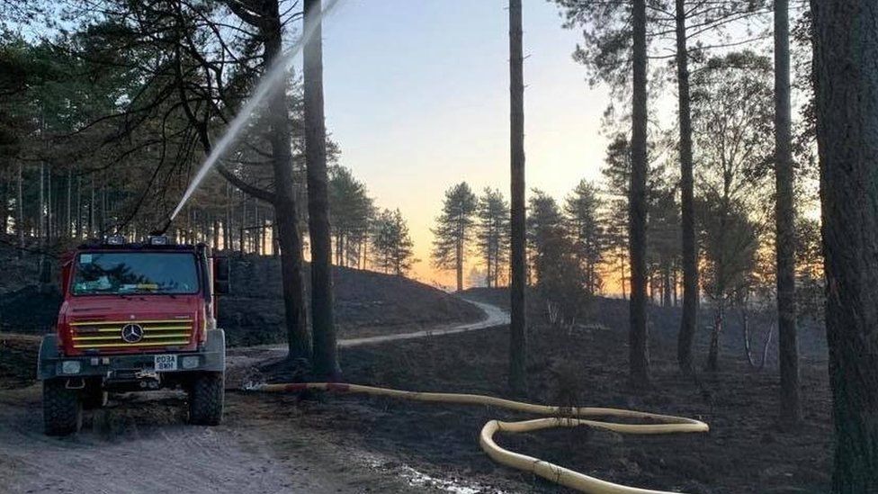 Wareham fire crew dampening down Wareham Forest