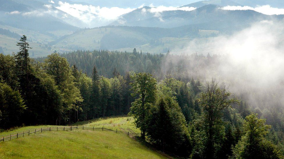 Ранок у Карпатах
