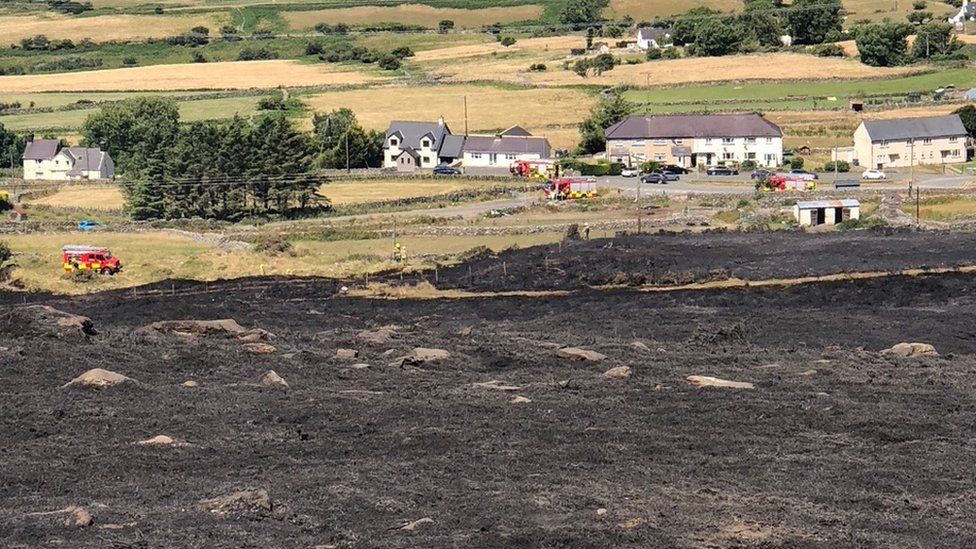 Scorched earth following a fire at Carmel