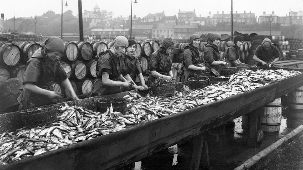 Final fish wharf building in Great Yarmouth comes down BBC News