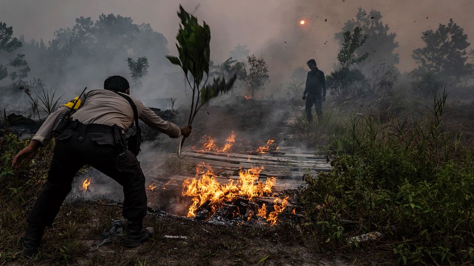 A police officer attempts to extinguish a fire in Indonesia