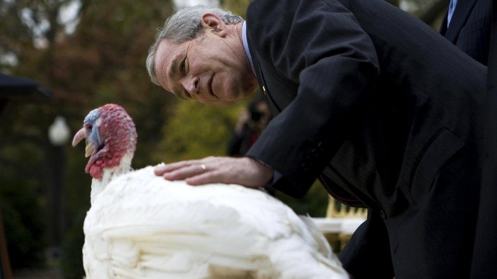President Bush holds turkey's back and leans closer in for a look in 2007 ceremony