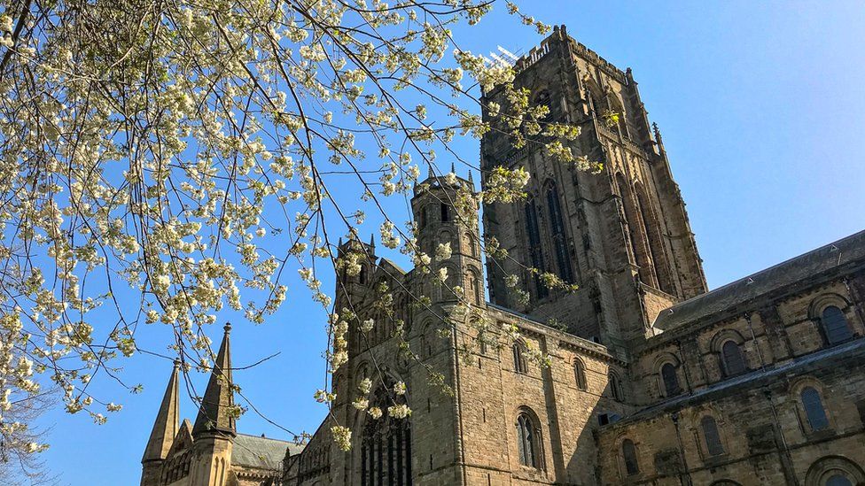 Cathedral tower with blossom