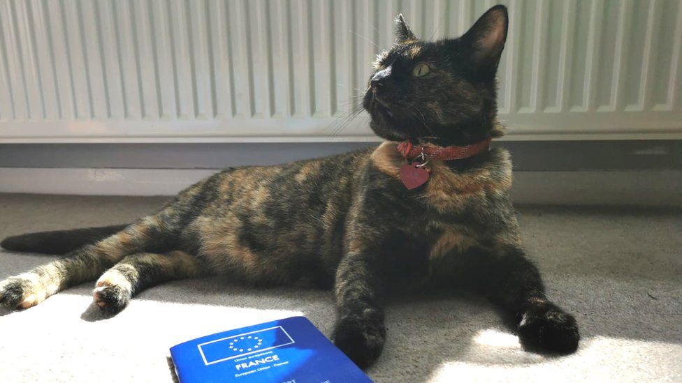 Squishy now has her own European pet passport