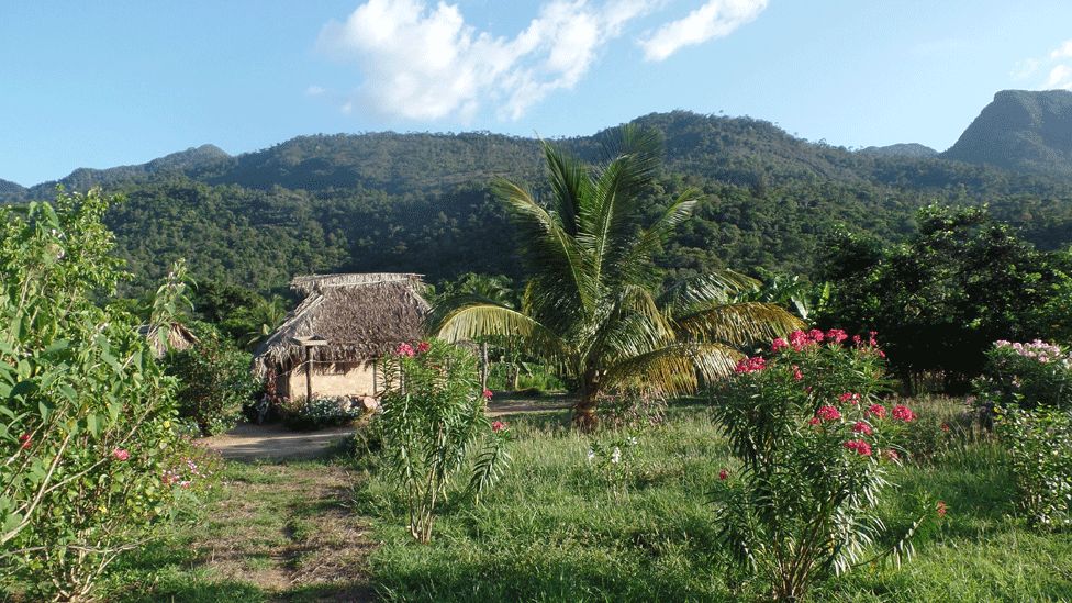An Amerindian home in the rural Rupununi savannah