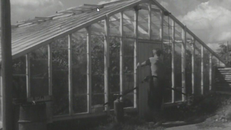 Glasshouse