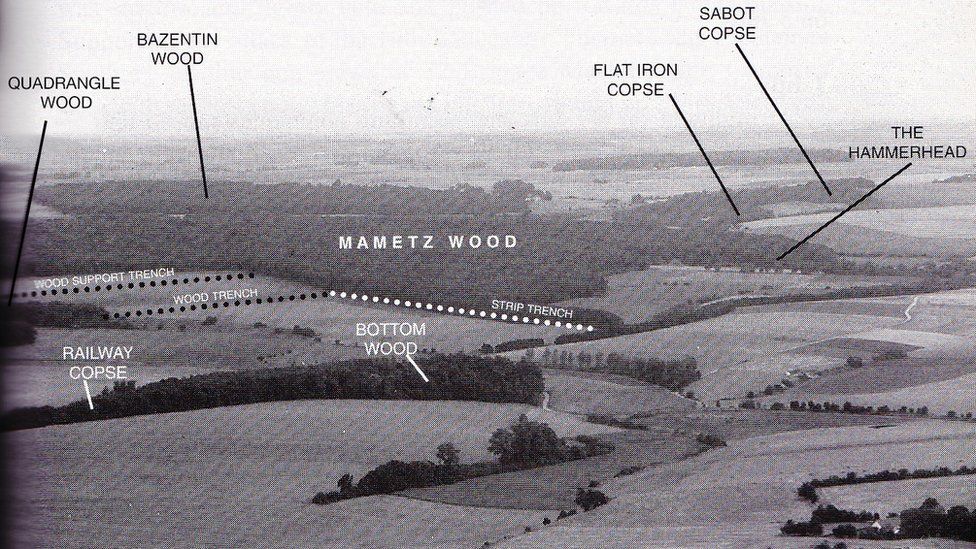 Aerial photographs taken of Mametz Wood in late June 1916 for planning purposes