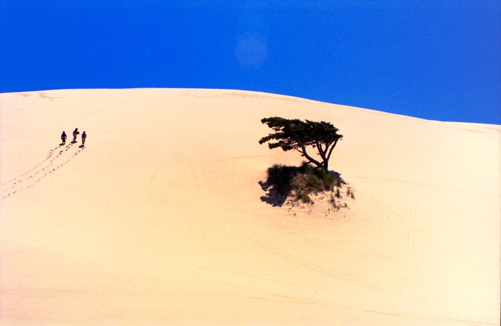 In the Sand Dunes Frontier Park, in Oregon, USA, three hikers trudge their way up a steep hill in the soft sand