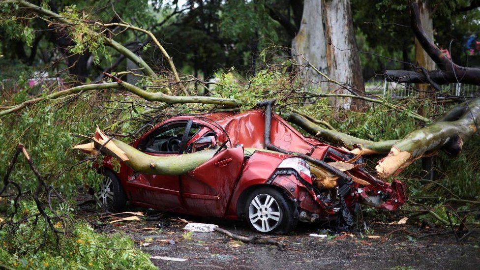 A red car seen crushed by a tree following a storm in eastern Argentina