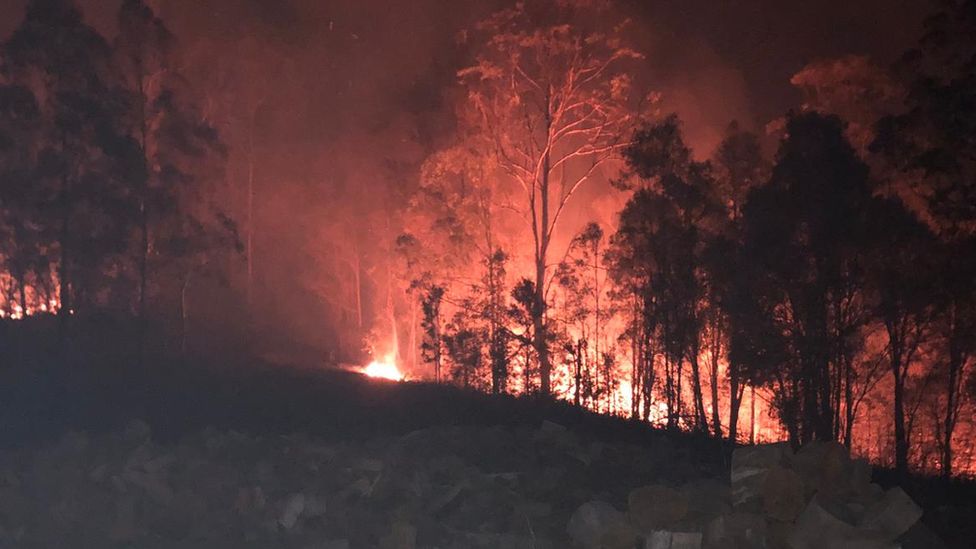 View of the fire on the Costigan's property at night