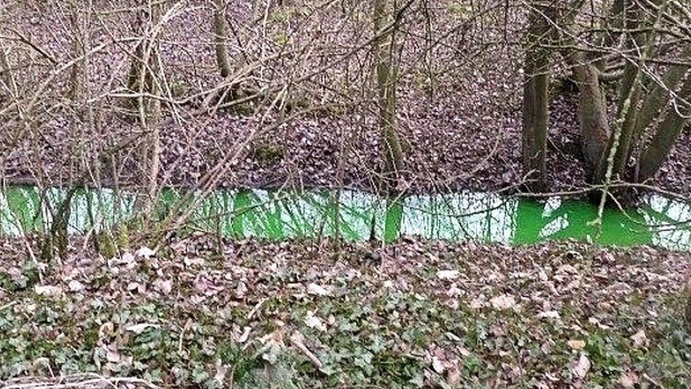 Green river tributary