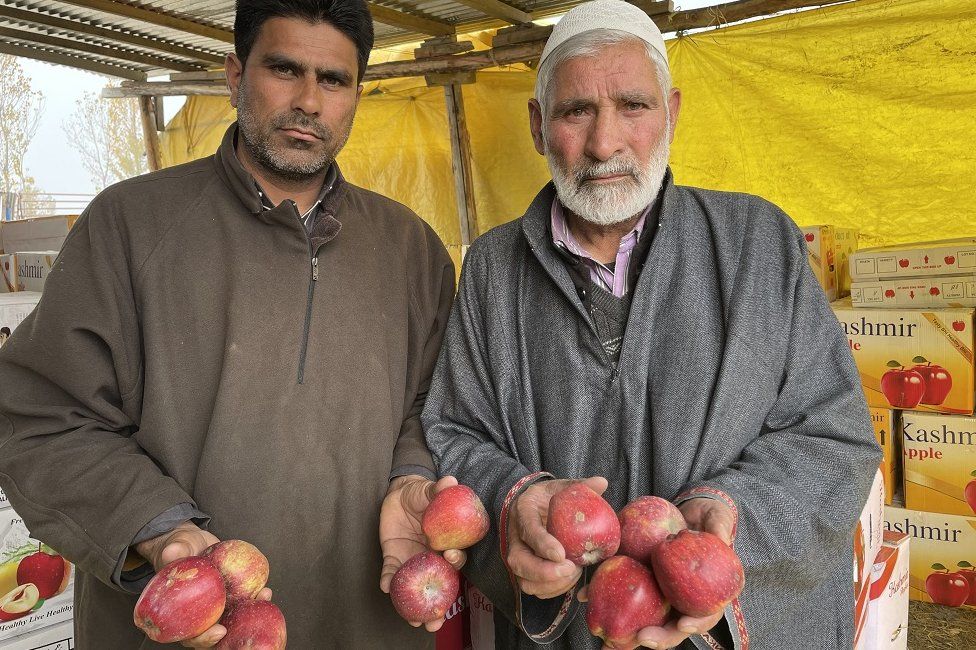 Farmers in a market show fruits with scab