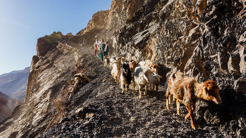 Women and their flock walking along a narrow, rugged mountain path