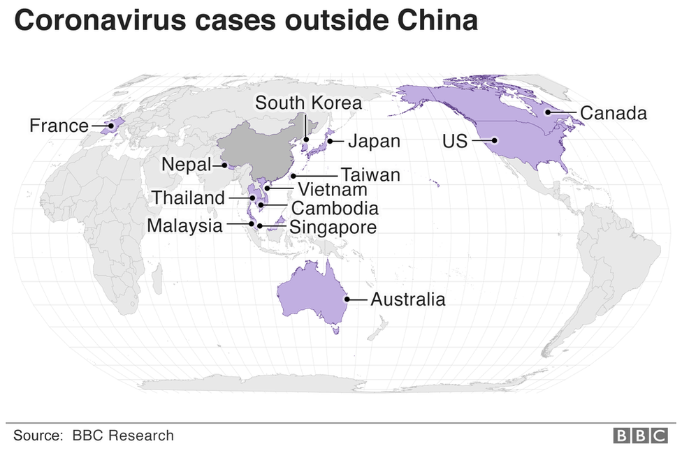 A map showing the countries where the virus has been found